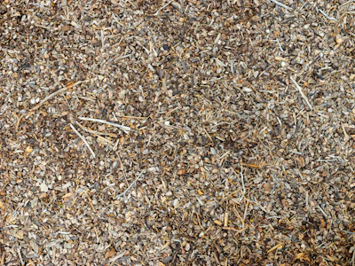 Close-up of rich, shredded eucalyptus mulch spread evenly over garden soil.