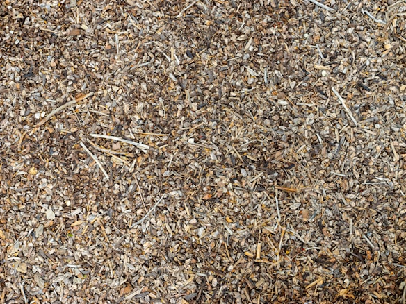 A close-up view of a surface covered with small wood chips and mulch. The textures and colors vary slightly, with shades of brown and bits of yellow and gray.