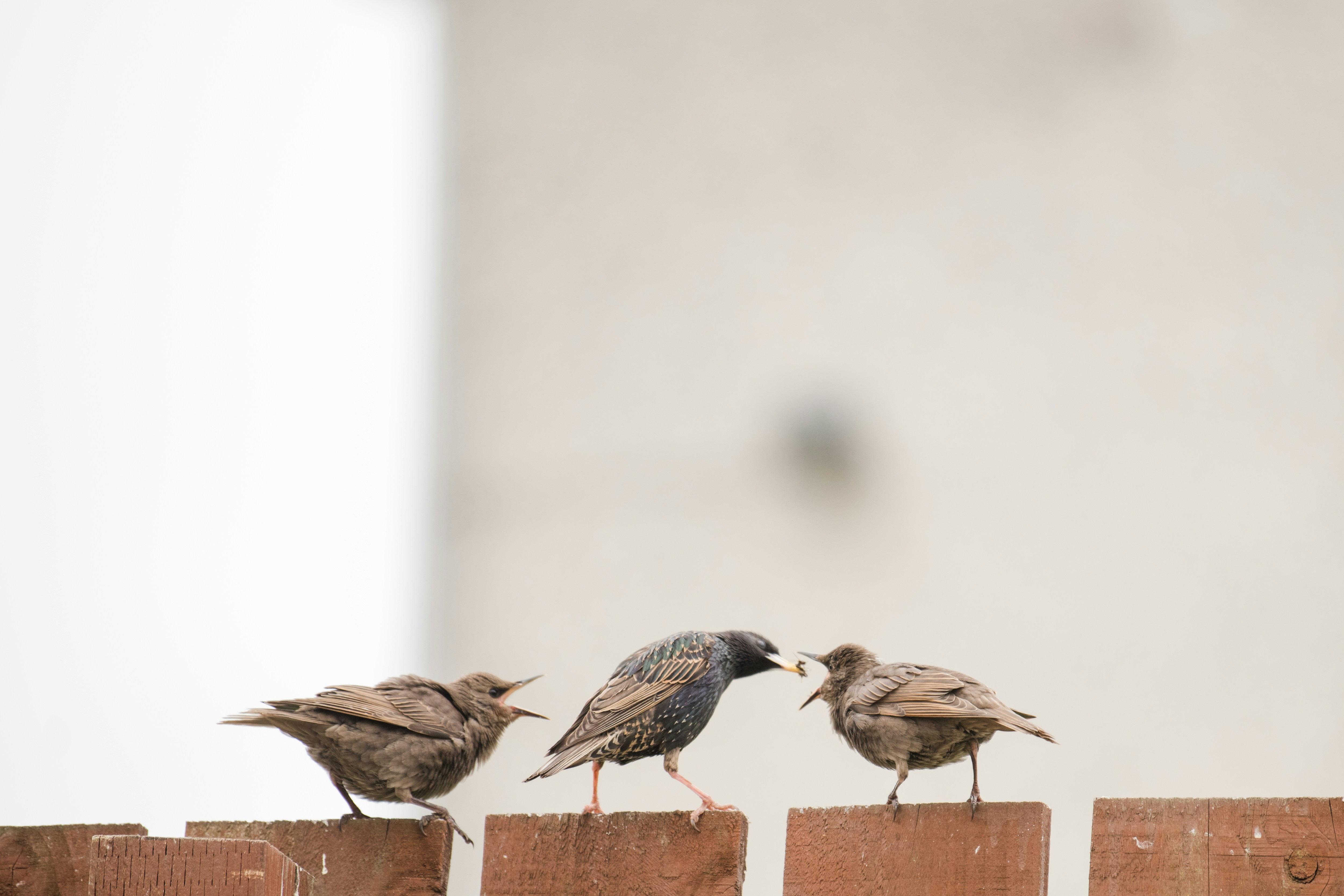 Photo by nadinthomson