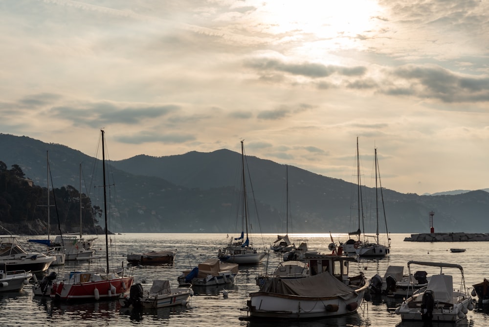 a group of boats floating on top of a body of water