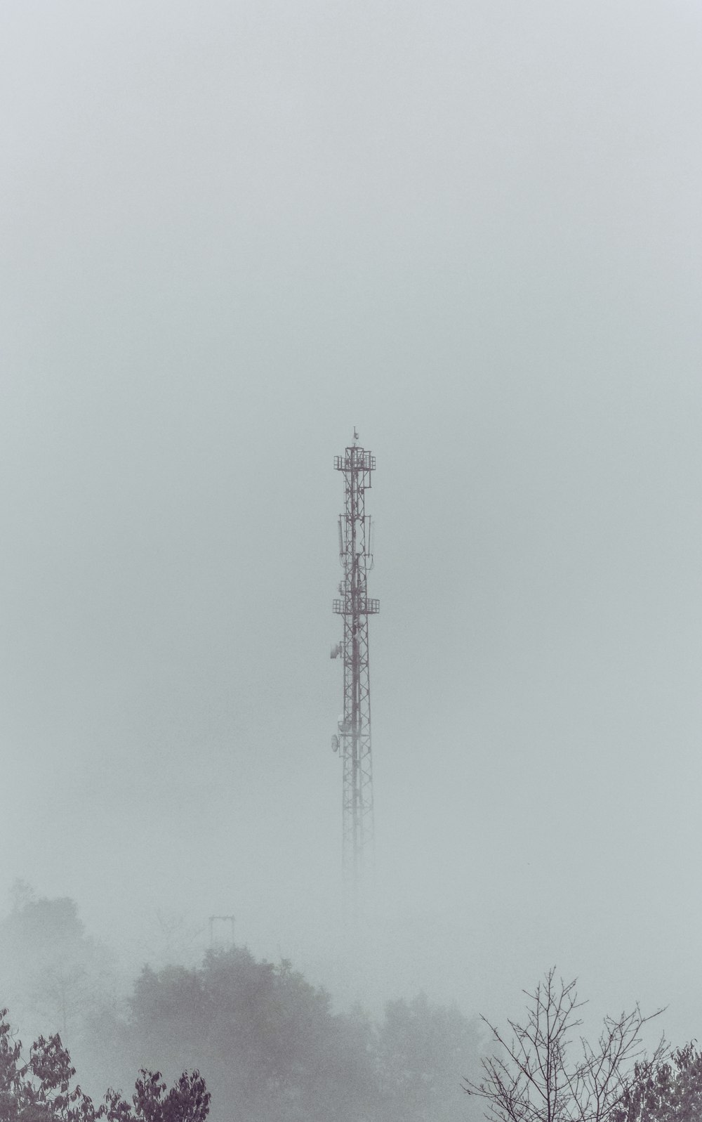 a tall tower in the middle of a foggy forest