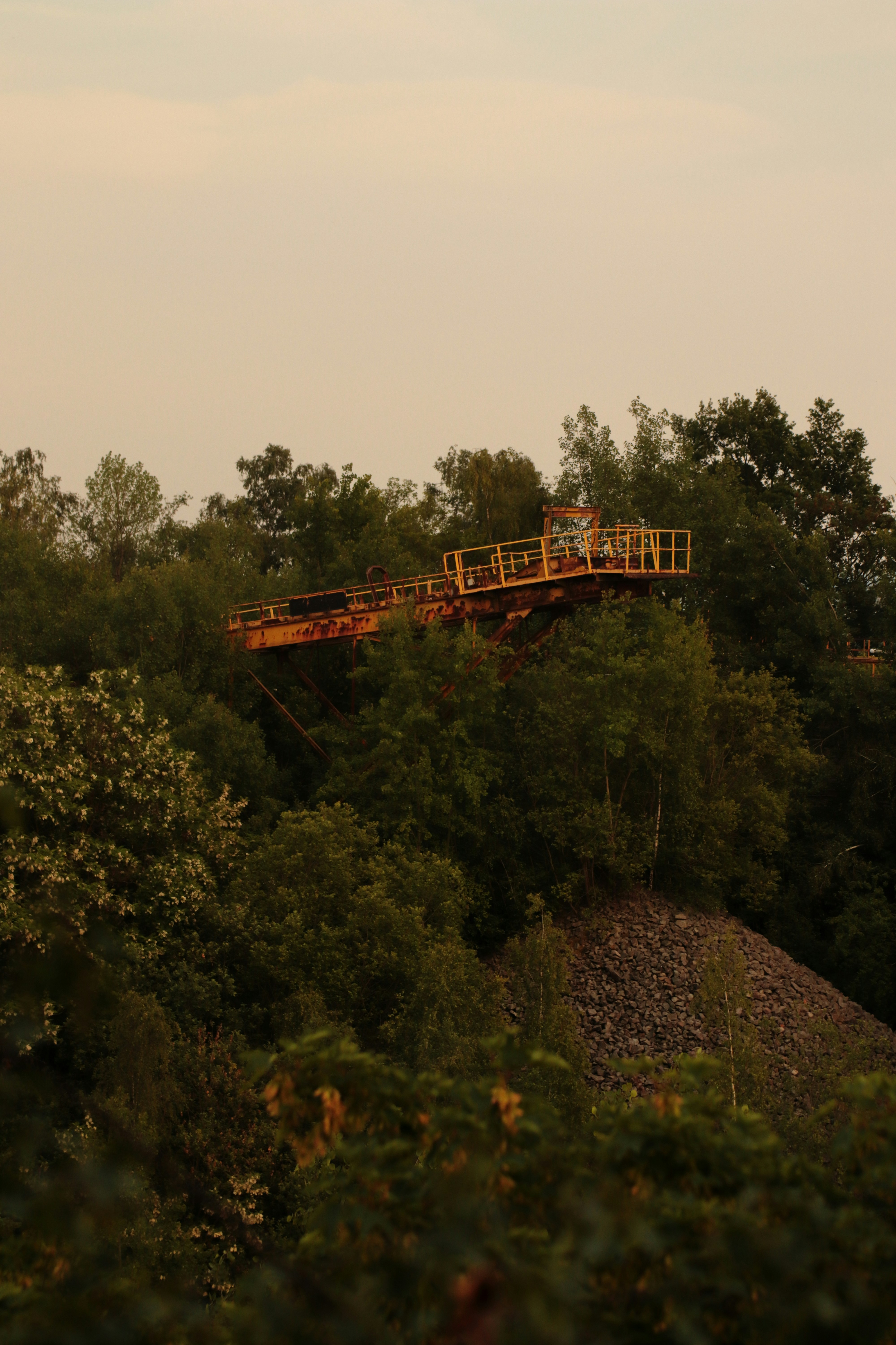 a man is walking across a bridge over some trees