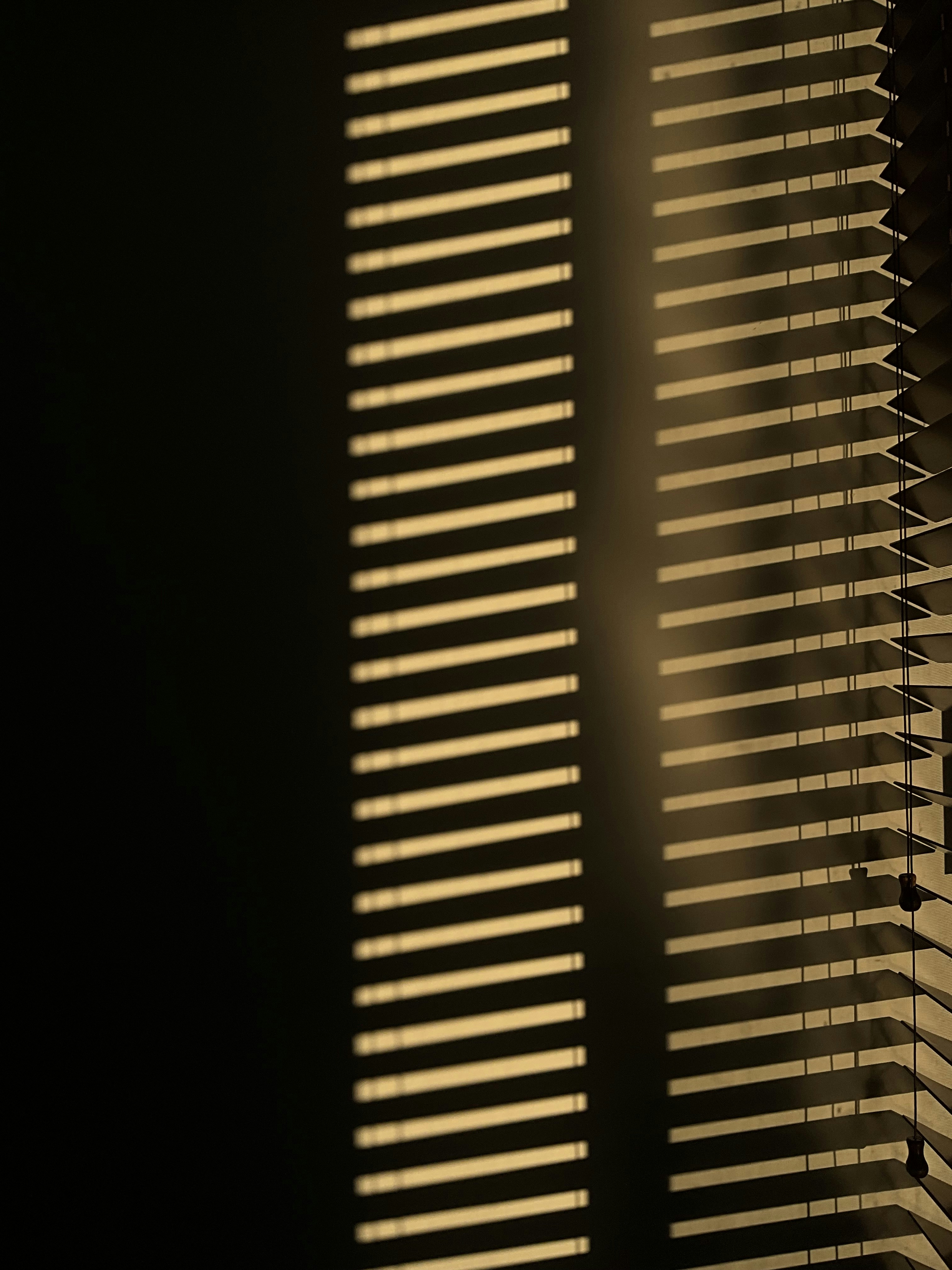 Photo by absalonflores