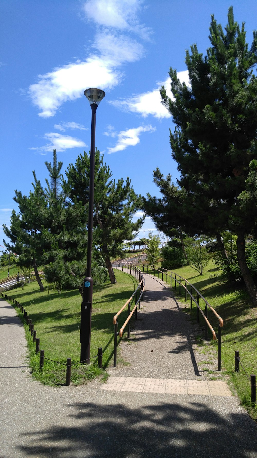 a street light sitting next to a lush green park