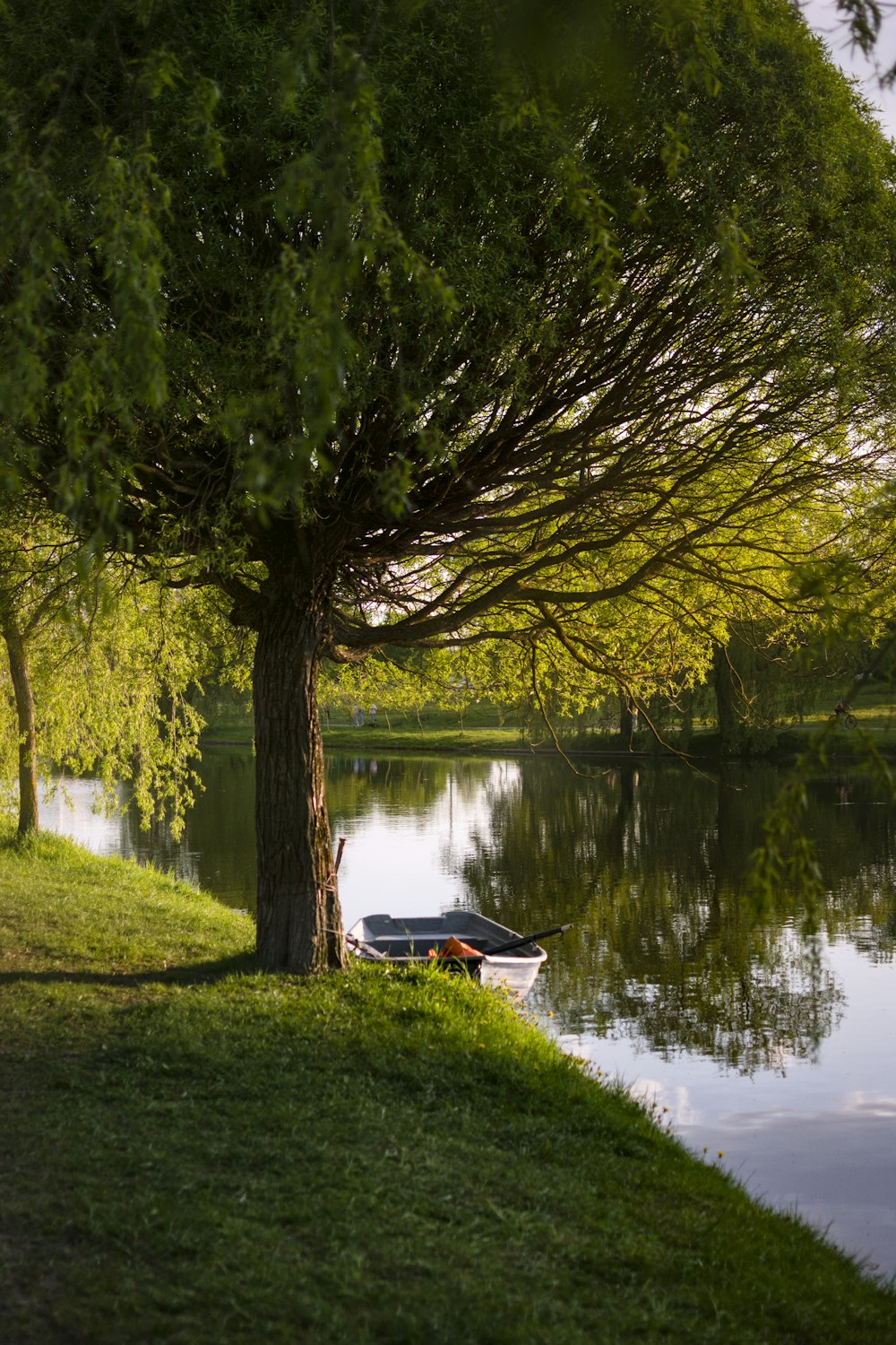 a boat is sitting on the shore of a lake