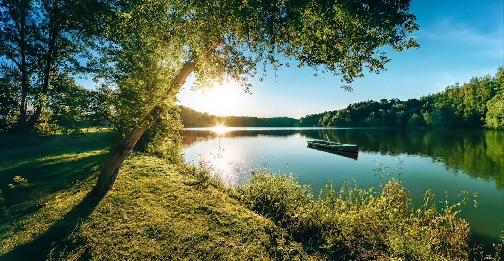 a boat floating on top of a lake next to a lush green forest