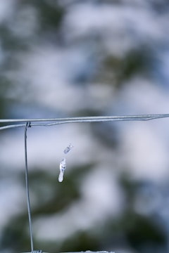 A close-up of a metal wire with small icicles forming on it. The background is blurred with soft, out-of-focus greenery and patches of snow or frost, creating a wintery scene.