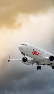 A commercial airliner branded with 'Lynx Air' is captured in flight against an overcast sky. The aircraft's engines and landing gear are visible, and the sky exhibits a mix of warm and neutral tones.