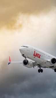 A commercial airliner branded with 'Lynx Air' is captured in flight against an overcast sky. The aircraft's engines and landing gear are visible, and the sky exhibits a mix of warm and neutral tones.