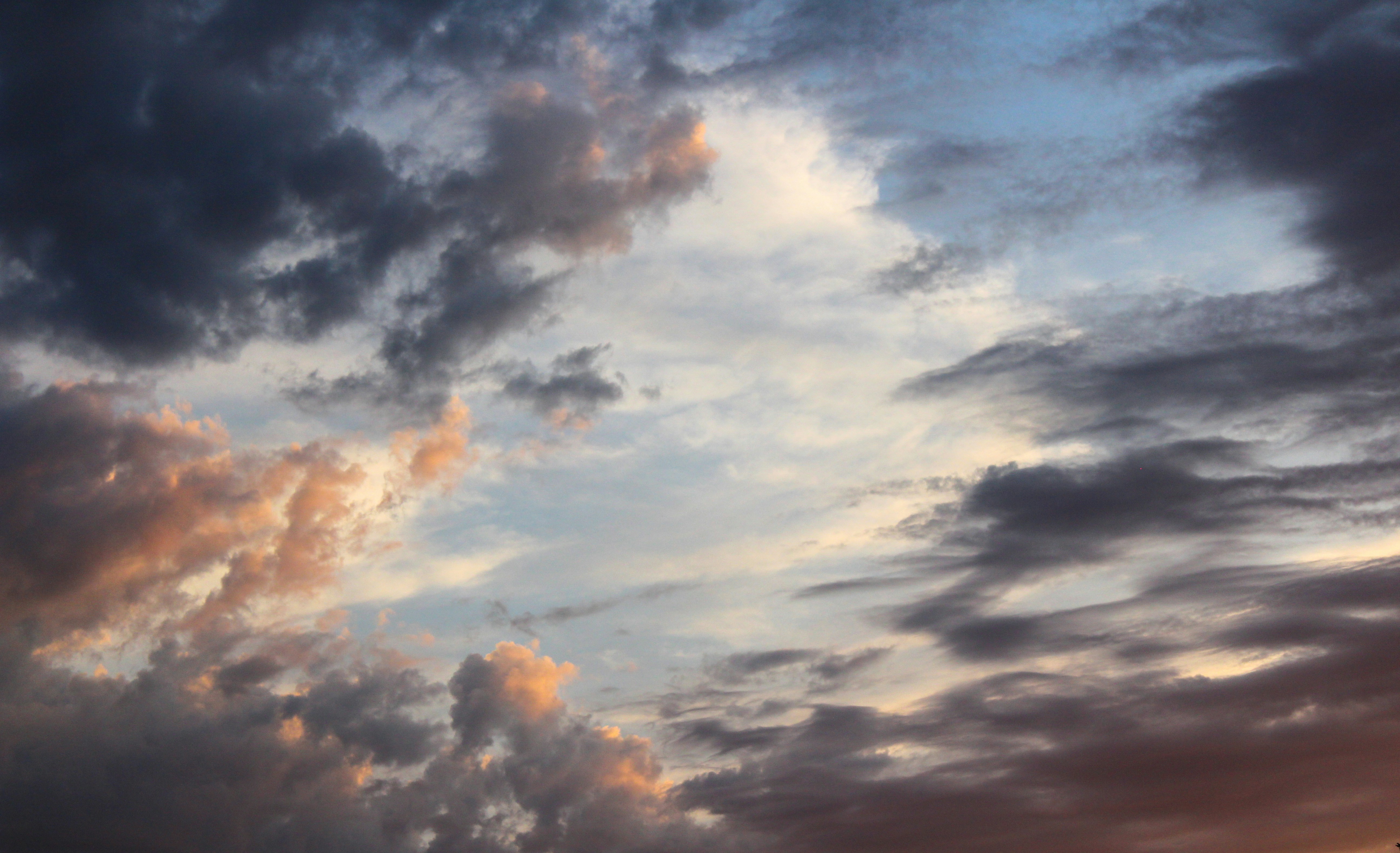 Photo by giorgiotrovato