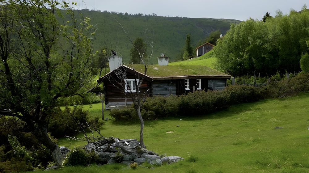 a house with a green roof in the middle of a field