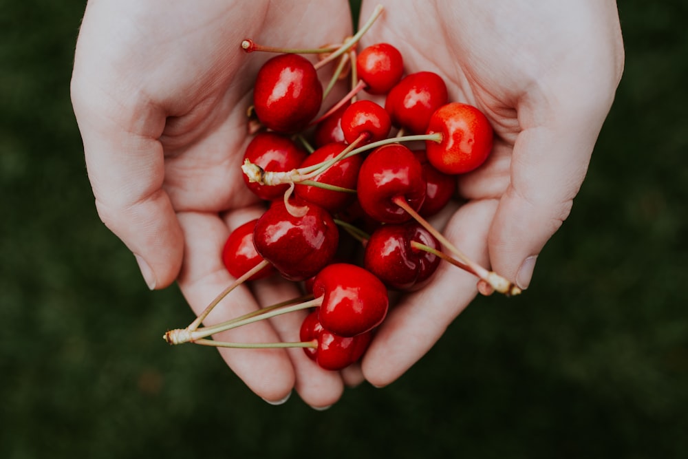 a person holding a bunch of cherries in their hands