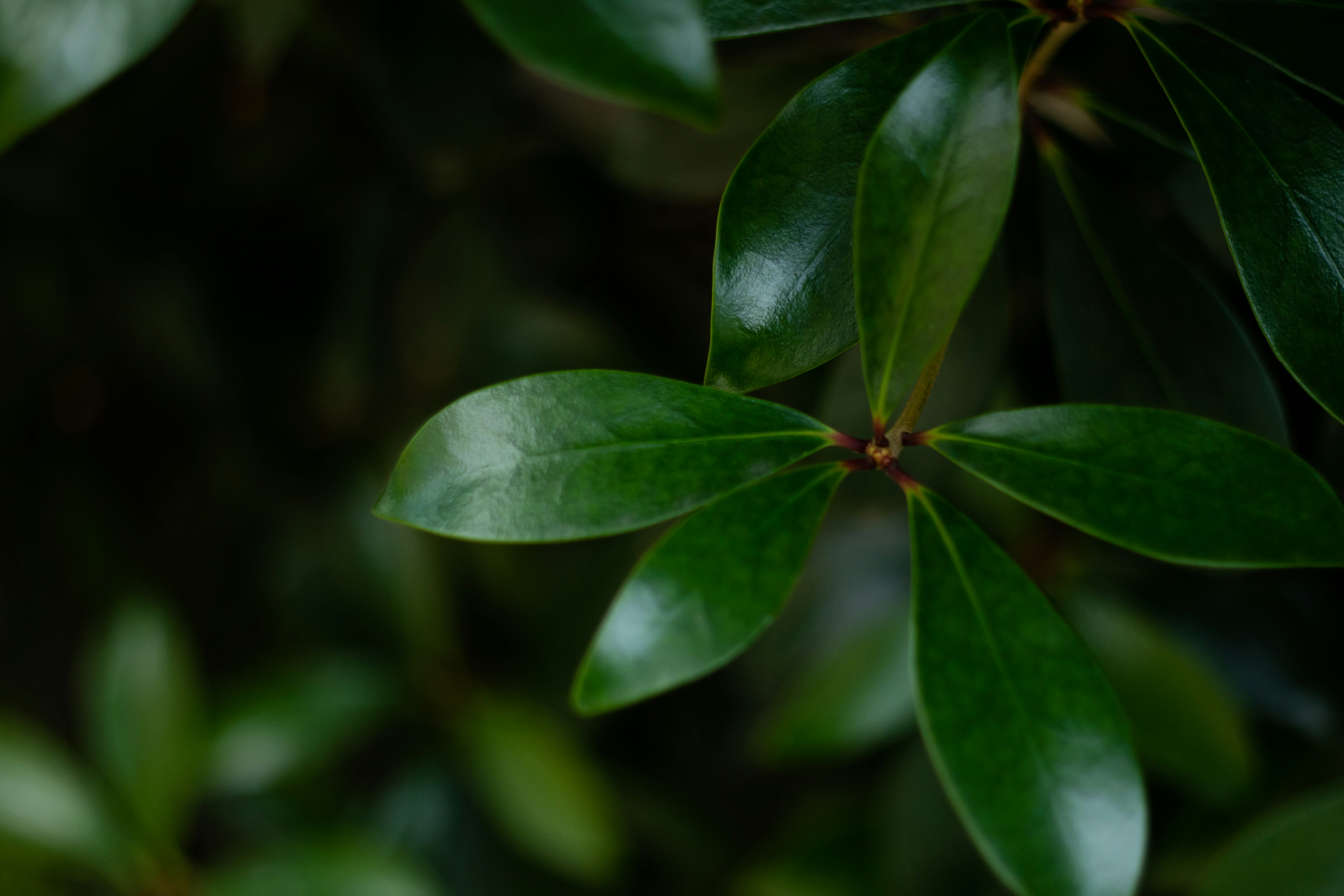 Photo by takatsuchida