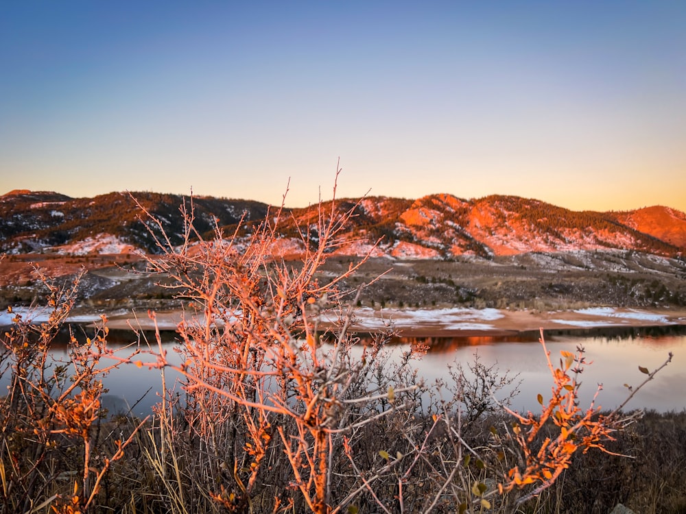 a view of a lake and mountains at sunset