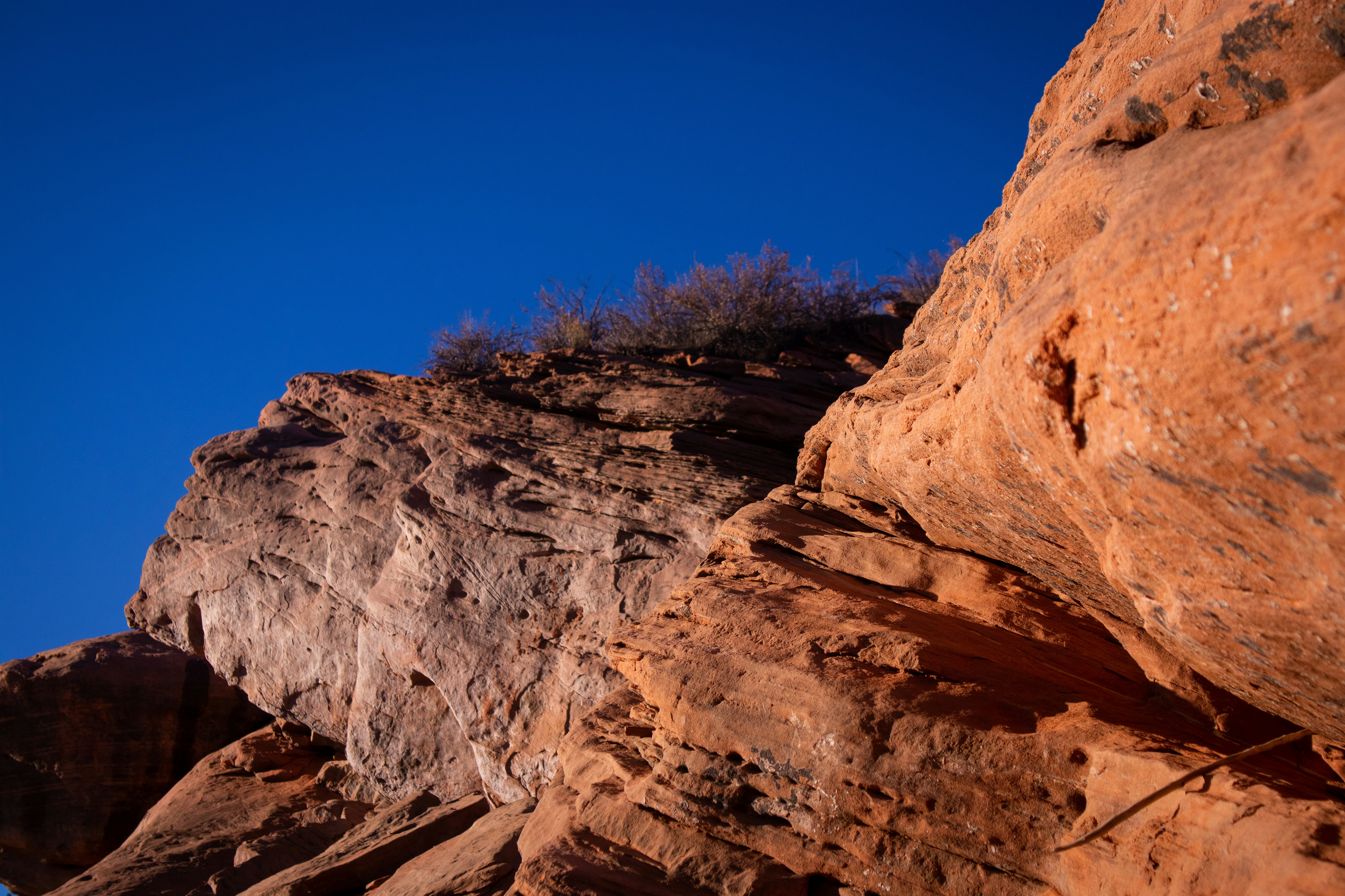 Photo by theenthusedlife