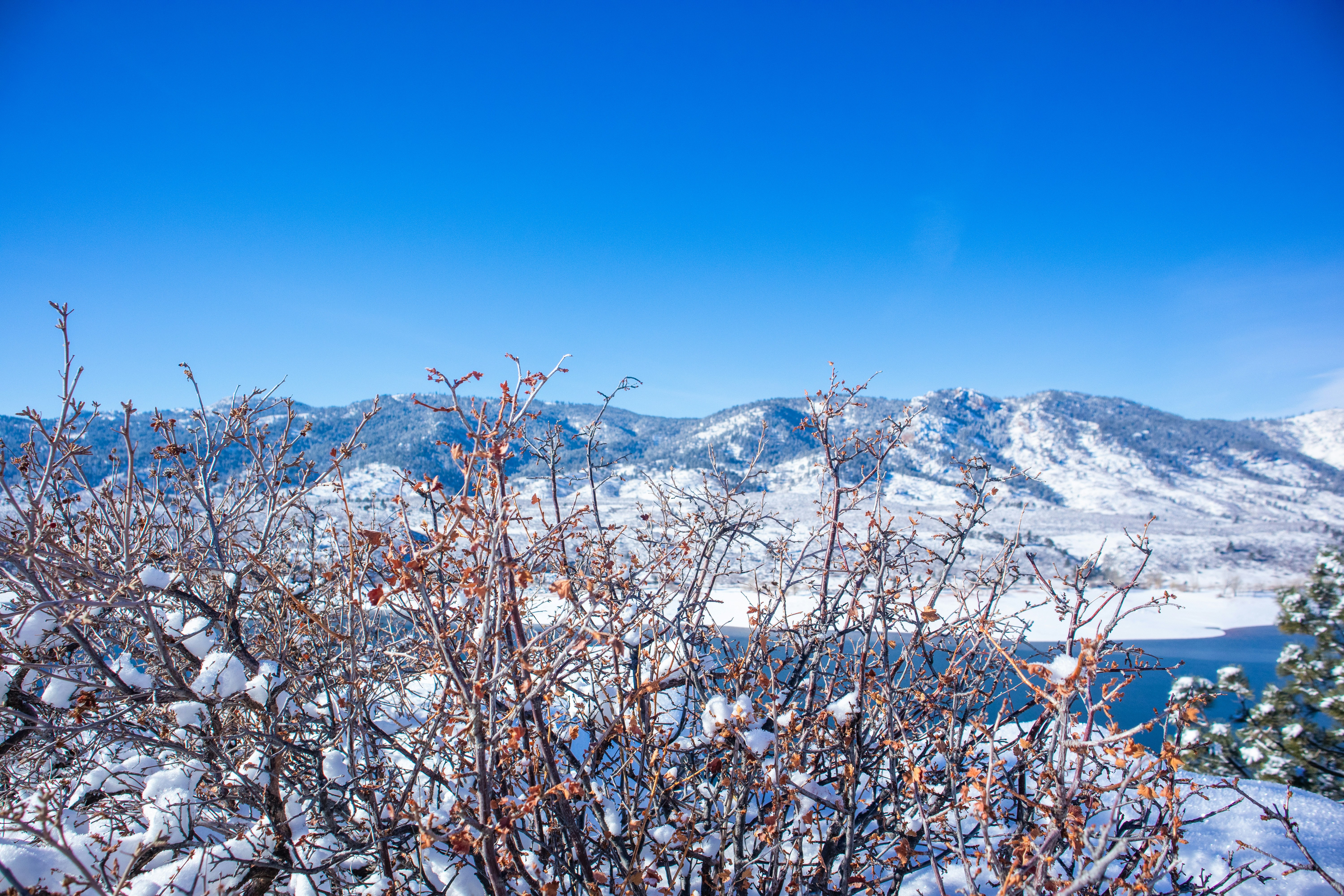 Photo by theenthusedlife