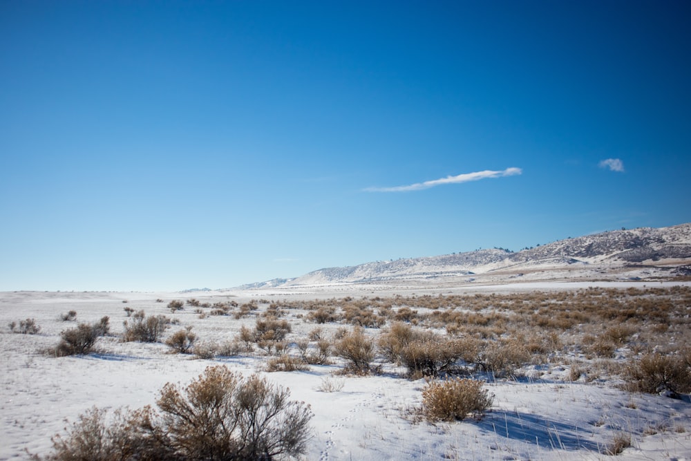 a snow covered field with a mountain in the background