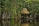 A rustic thatched-roof hut sits on the edge of a calm, reflective body of water. The surrounding dense rainforest is lush and verdant, with a variety of trees and plants. The scene exudes tranquility and isolation, blending harmoniously with nature.