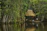 A cozy eco-lodge cabin surrounded by lush green rainforest near a sparkling blue river.