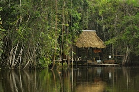 A rustic thatched-roof hut sits on the edge of a calm, reflective body of water. The surrounding dense rainforest is lush and verdant, with a variety of trees and plants. The scene exudes tranquility and isolation, blending harmoniously with nature.