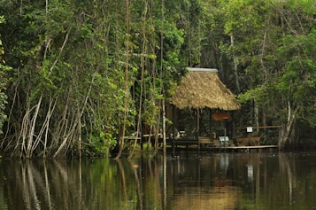 A rustic thatched-roof hut sits on the edge of a calm, reflective body of water. The surrounding dense rainforest is lush and verdant, with a variety of trees and plants. The scene exudes tranquility and isolation, blending harmoniously with nature.