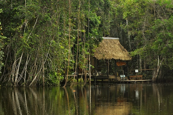 A rustic thatched-roof hut sits on the edge of a calm, reflective body of water. The surrounding dense rainforest is lush and verdant, with a variety of trees and plants. The scene exudes tranquility and isolation, blending harmoniously with nature.
