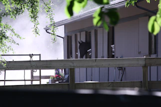 A warm, inviting stable entrance with sunlight filtering through trees.