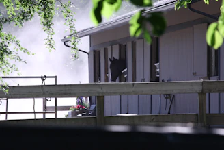 A serene early morning view of the deep navy blue stable doors framed by golden sunlight.