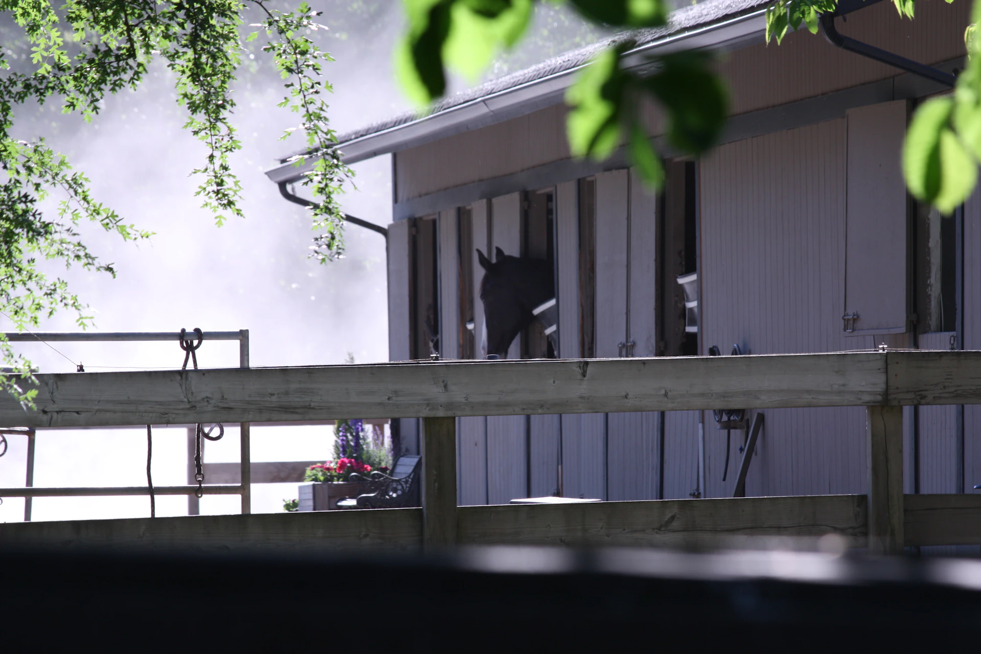An atmospheric early morning scene with mist hovering over a stable where horses are being prepared.