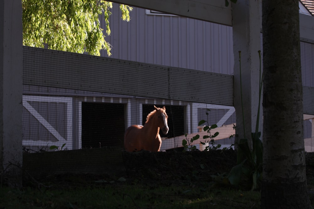 a brown horse standing in front of a barn