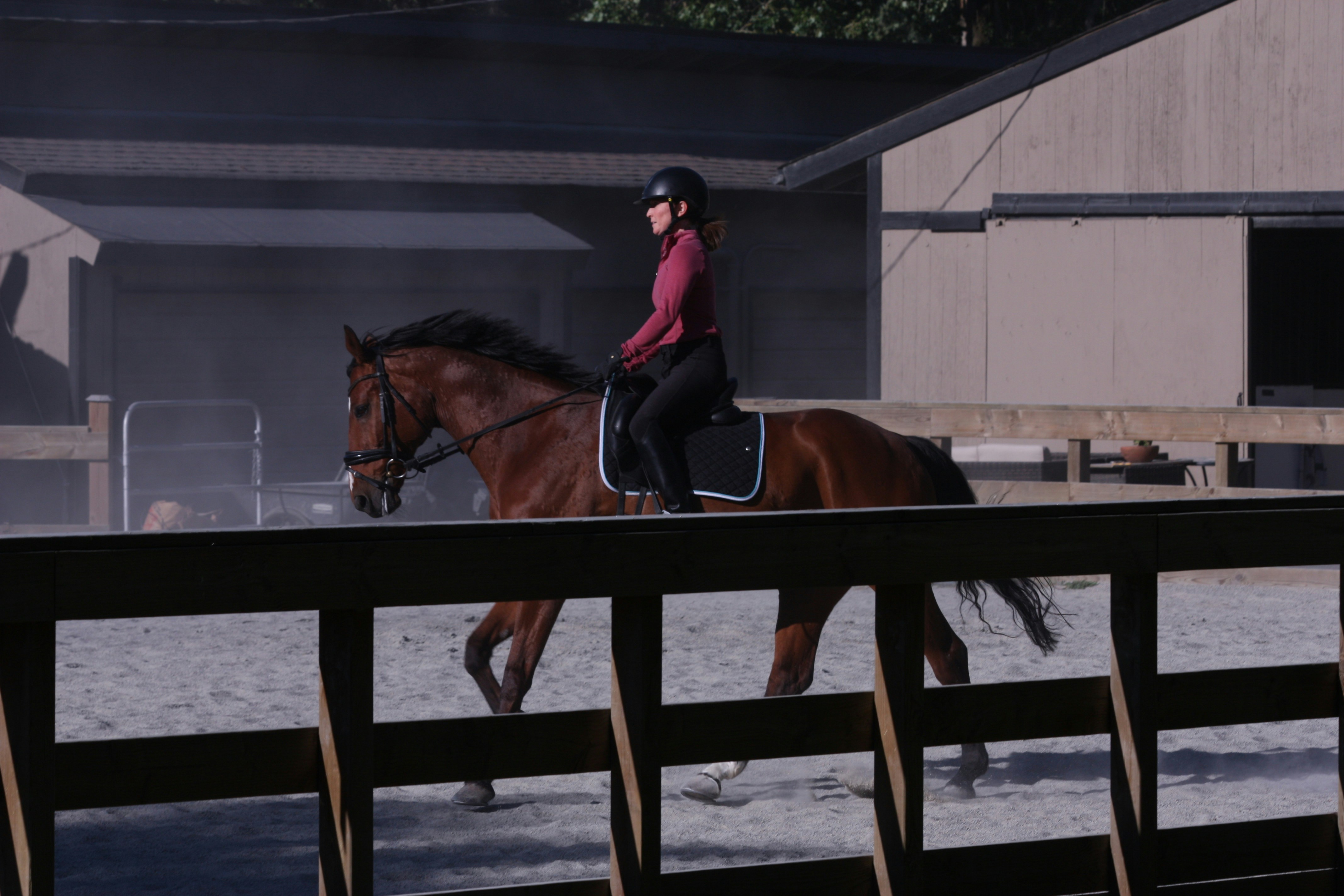Horse Back Riding Pictures | Download Free Images on Unsplash