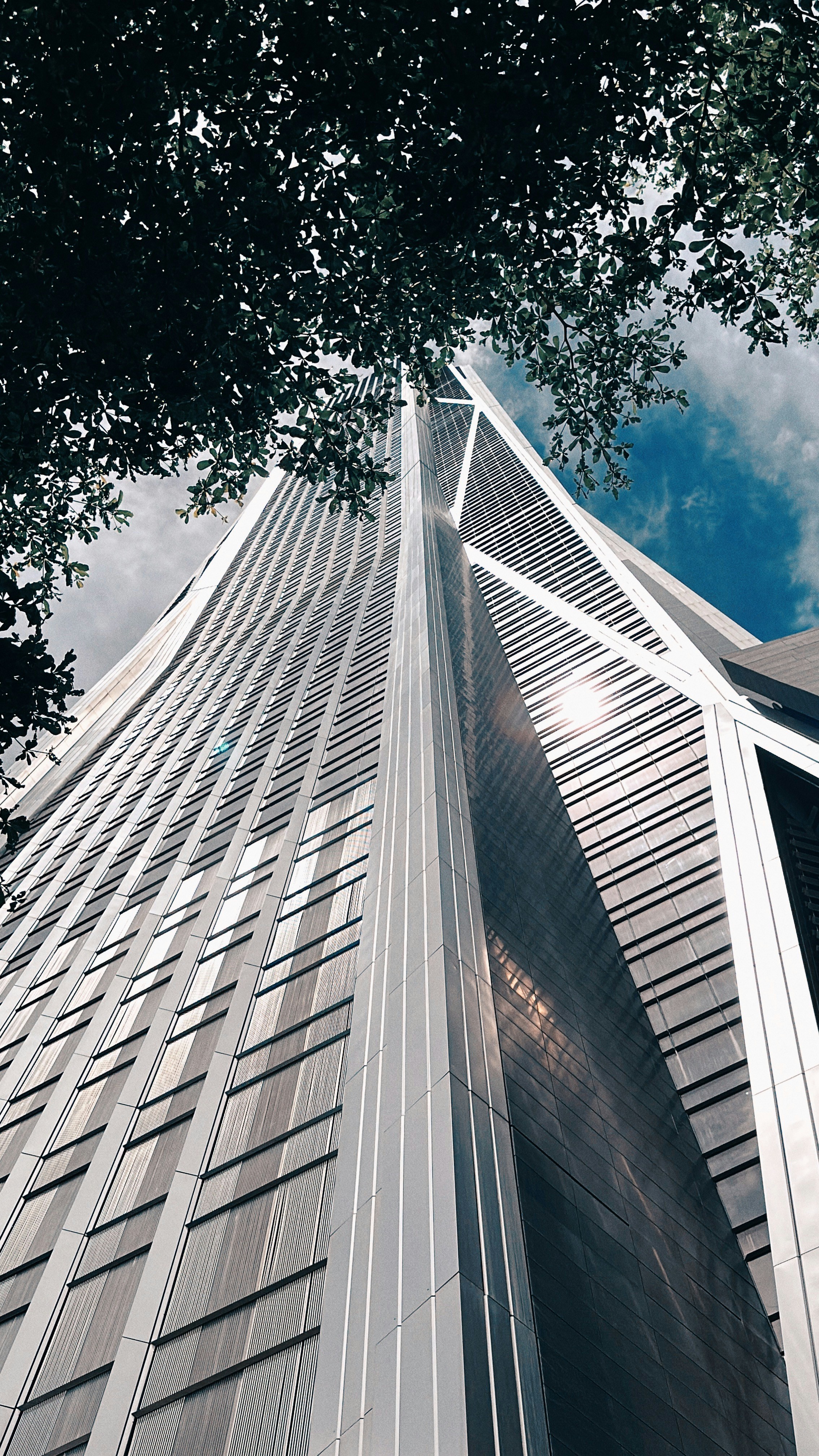 Photo by dickenslin76