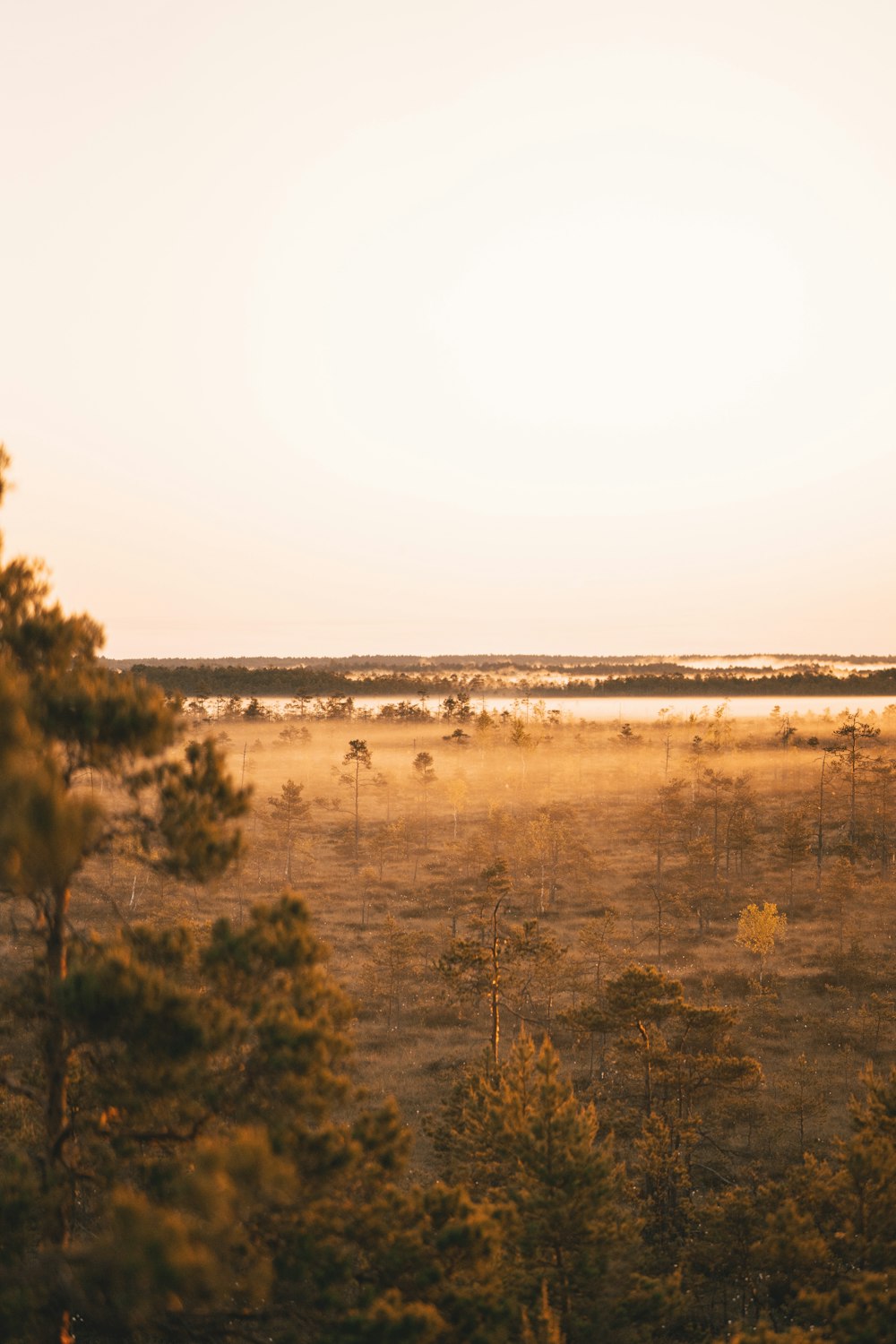 a field with trees and a body of water in the distance