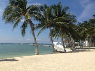 A scenic beach resort with palm trees and clear blue water under a sunny sky.