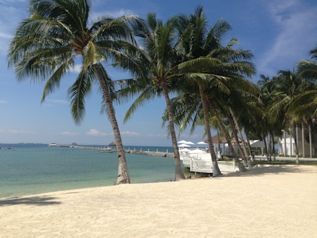 A scenic beach resort with palm trees and clear blue water under a sunny sky.