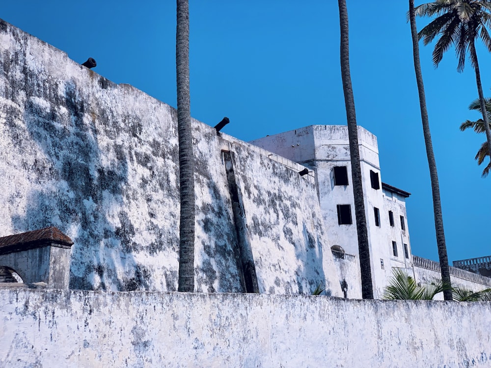 a concrete wall with birds perched on top of it