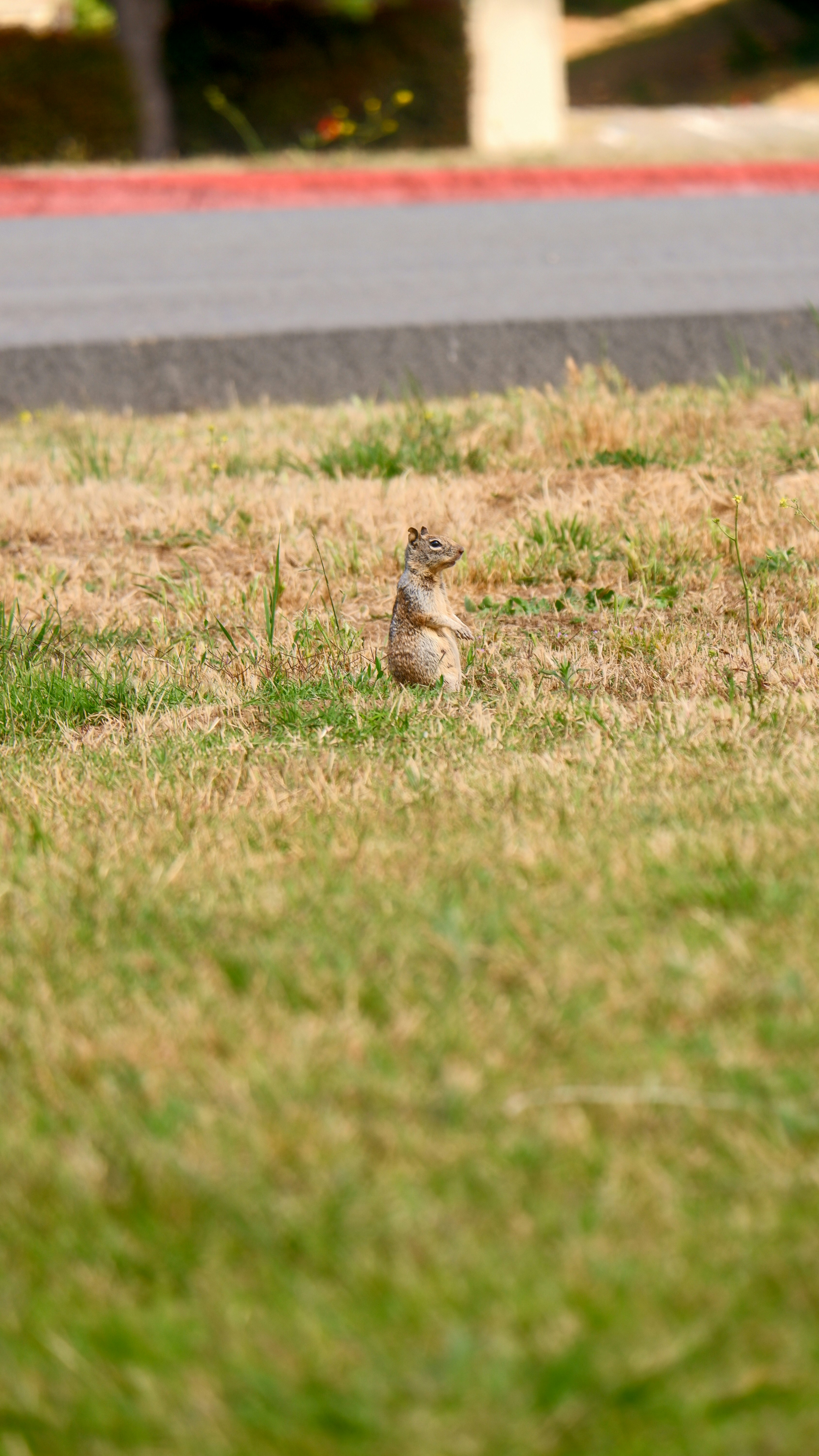 Photo by drizzy_bear86