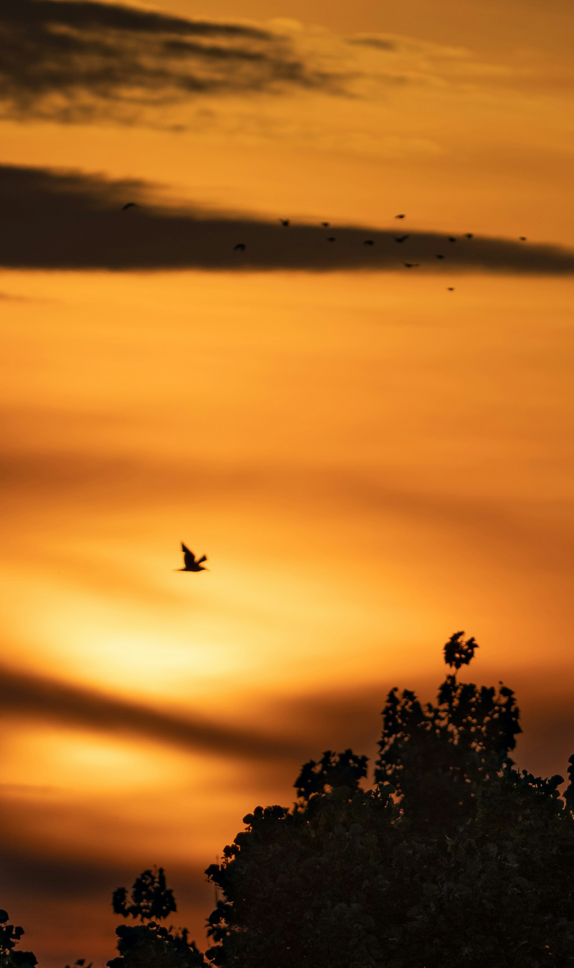 Photo by ragnar69