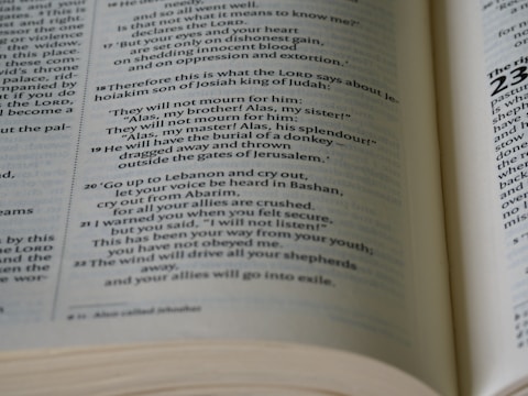 Close-up of an open Bible with soft natural light.