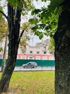 A partially collapsed building is seen with a green fence in front of it. There is a parked dark-colored SUV on the street, and a green lawn with fallen leaves appears in the foreground, framed by two large trees with some green leaves.