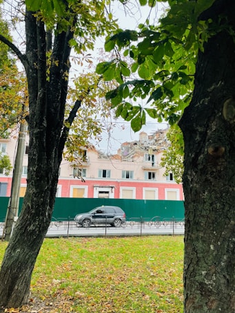 A partially collapsed building is seen with a green fence in front of it. There is a parked dark-colored SUV on the street, and a green lawn with fallen leaves appears in the foreground, framed by two large trees with some green leaves.