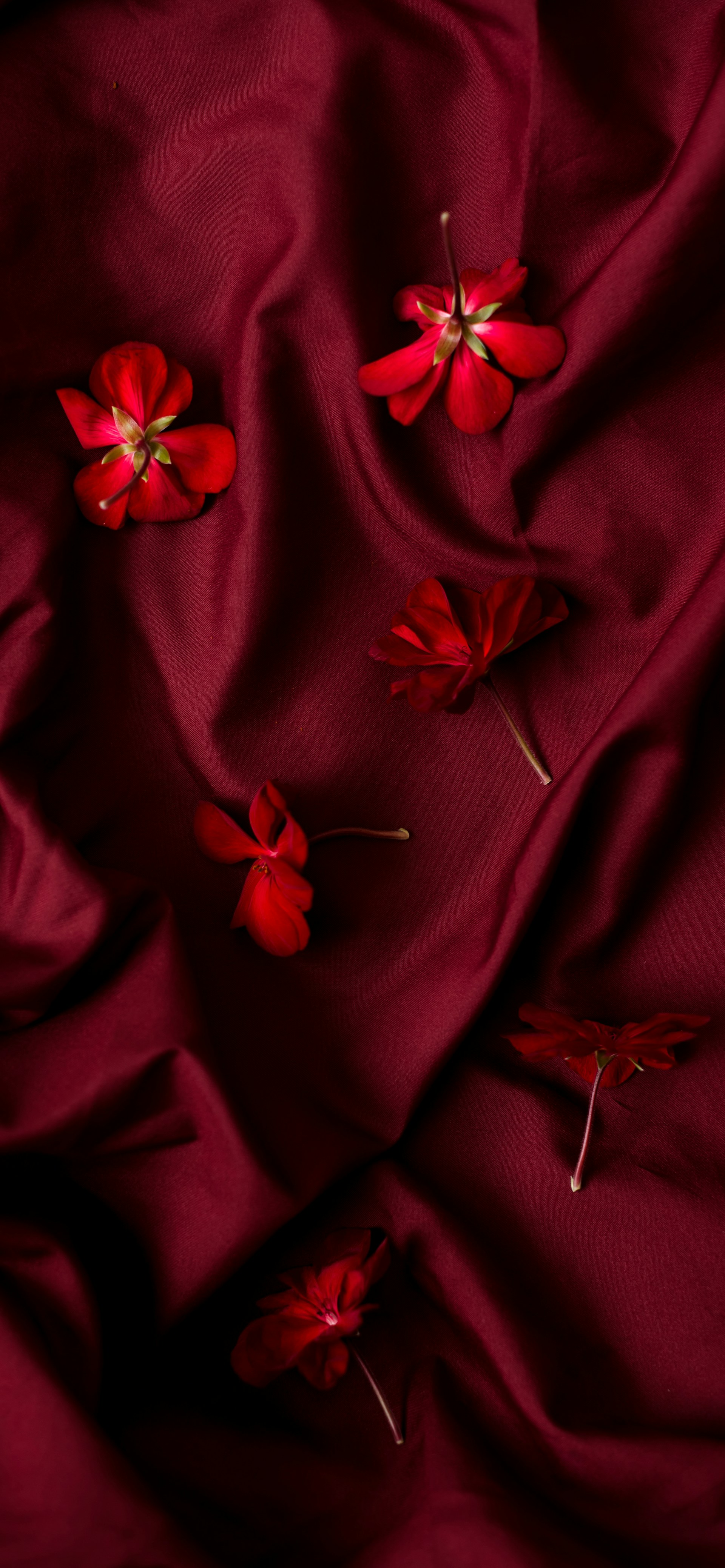 a red cloth with red flowers on it