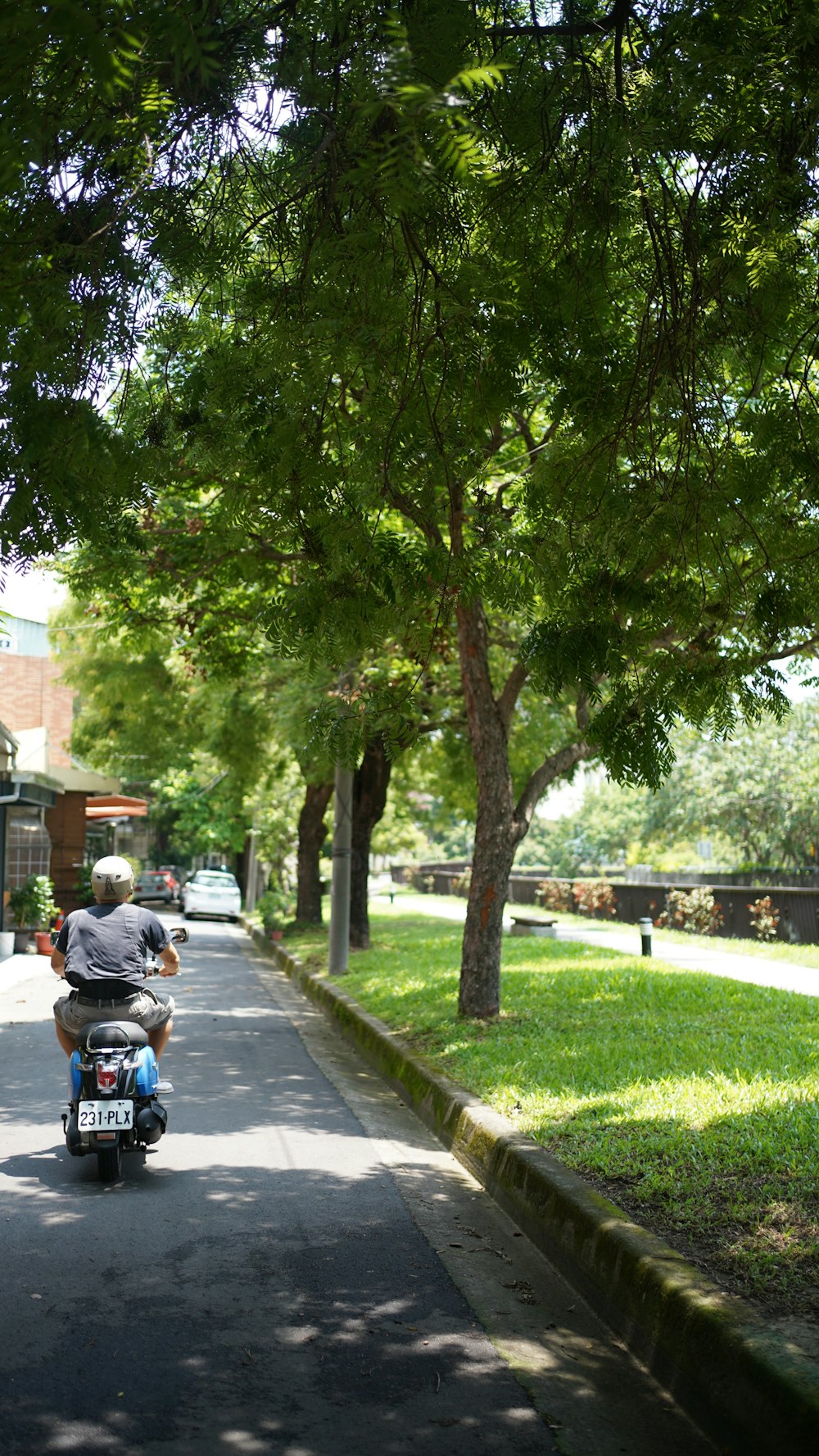 a man riding a scooter down a tree lined street