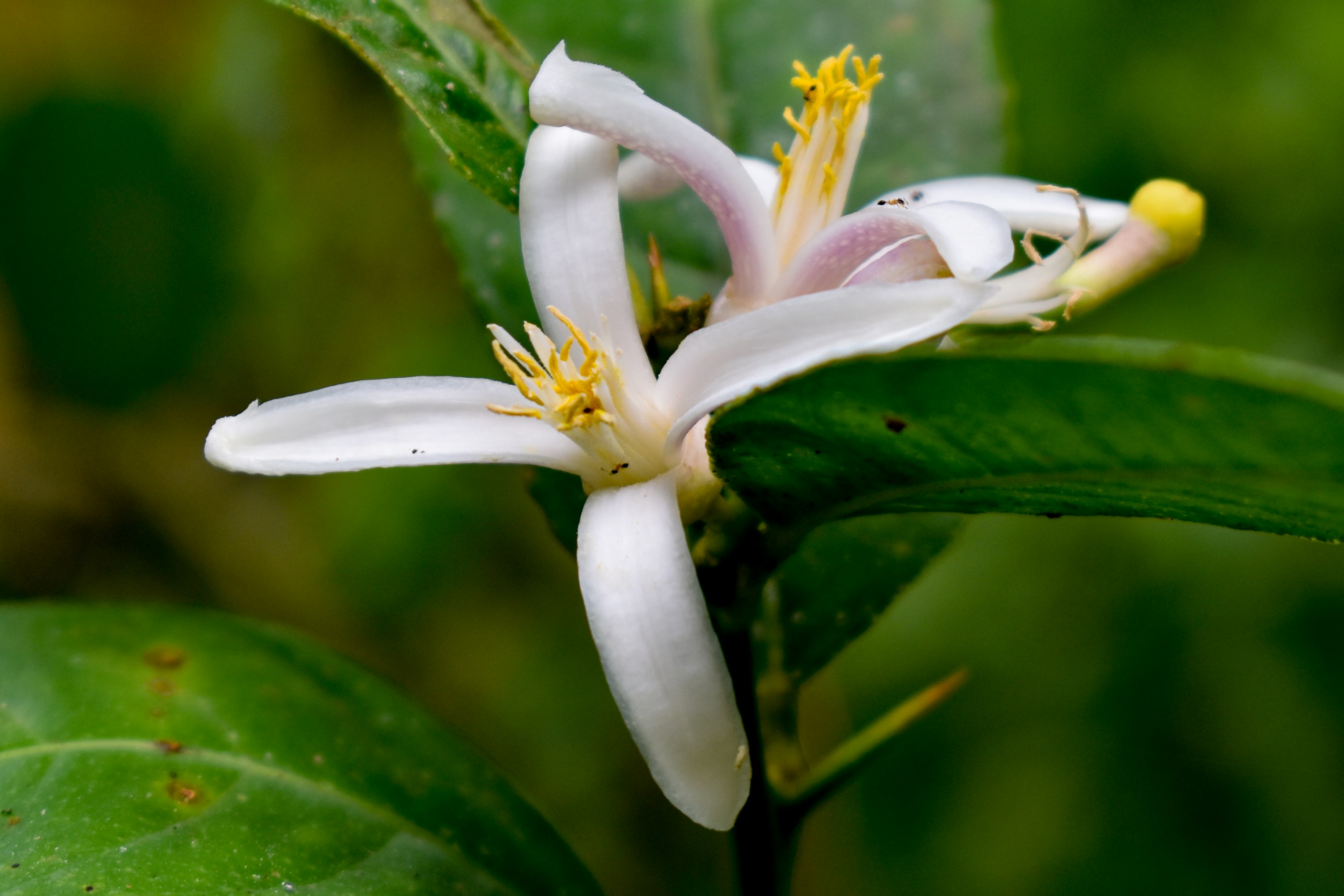 Photo by sian_labay_official