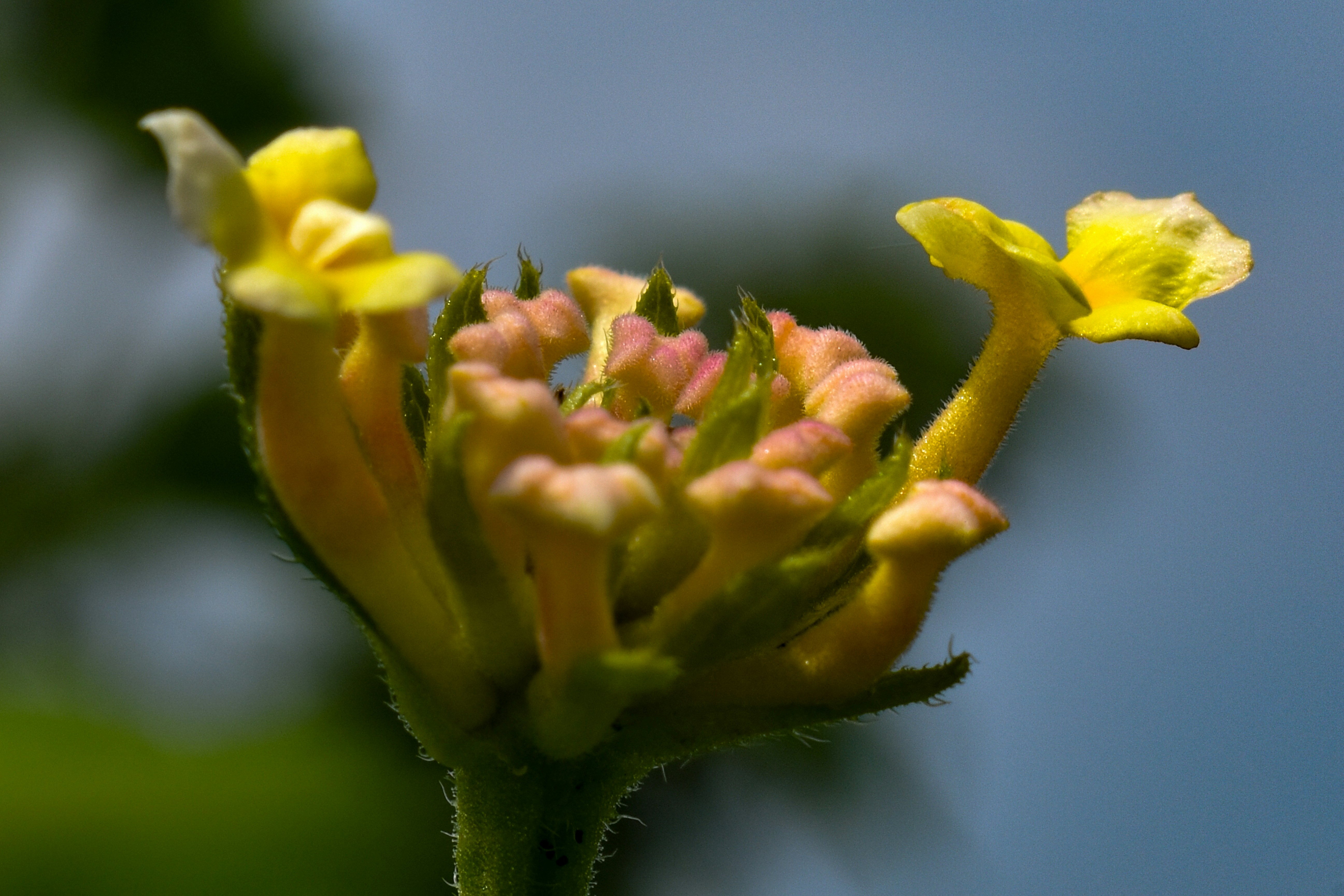 Photo by sian_labay_official