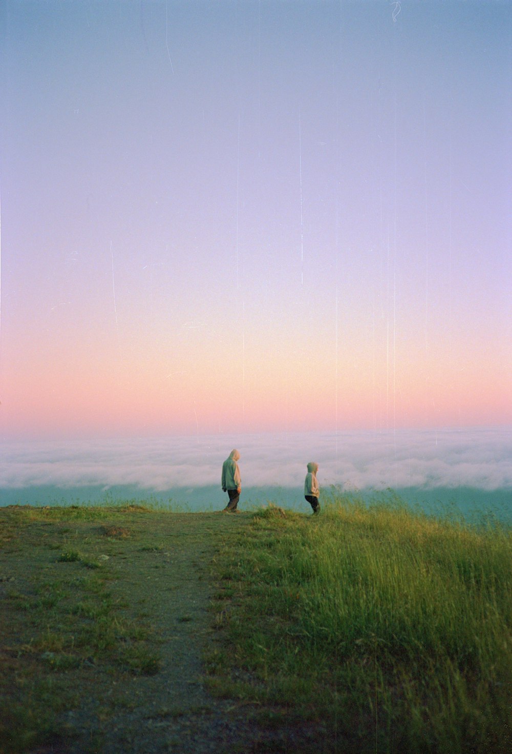 a couple of people standing on top of a lush green hillside