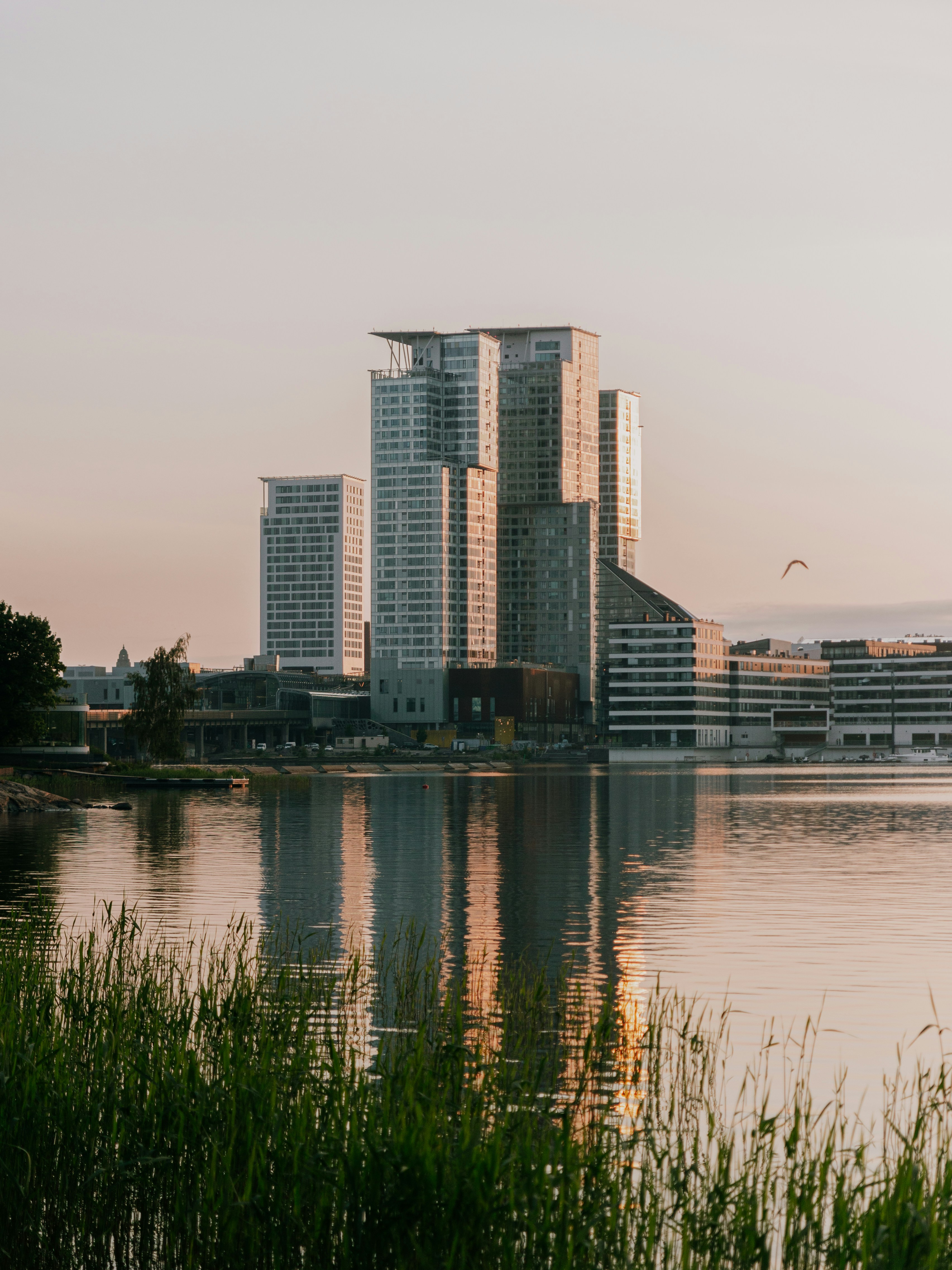 a body of water with tall buildings in the background