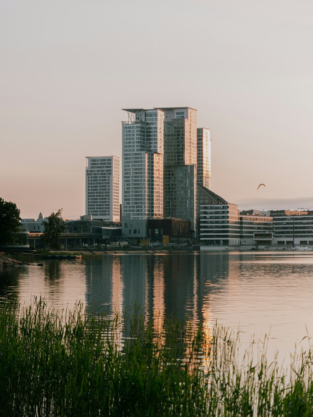 a body of water with tall buildings in the background