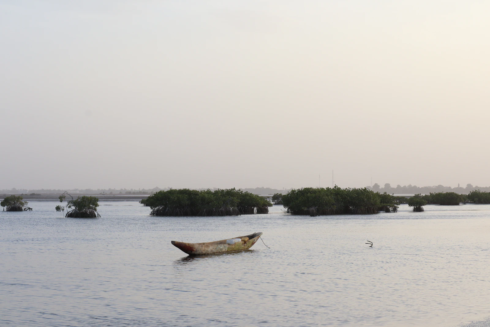 A pirogue among the mangrove islands — Sine-Saloum Delta, Senegal