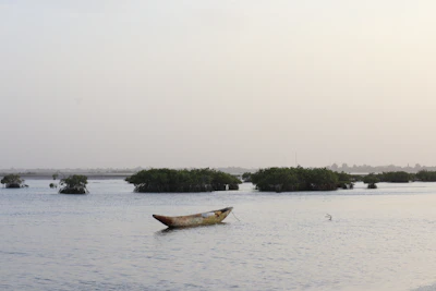 A pirogue among the mangrove islands — Sine-Saloum Delta, Senegal